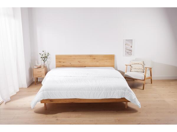 Dust Mite Duvet