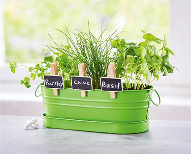 All-In-One Windowsill Garden Kit