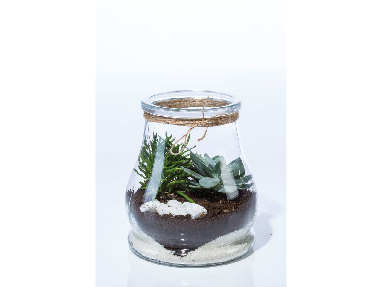 Plantencompositie in glas