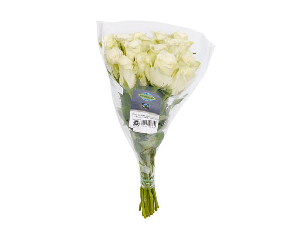 Roses Fairtrade