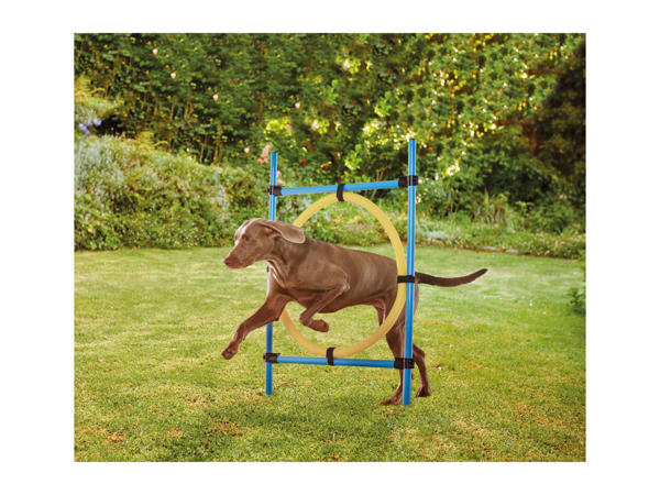 Zoofari Agility Equipment Assortment1