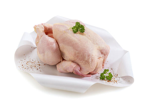Poulet frais à rôtir