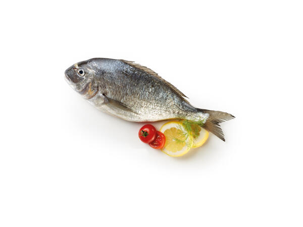 Gutted Sea Bream