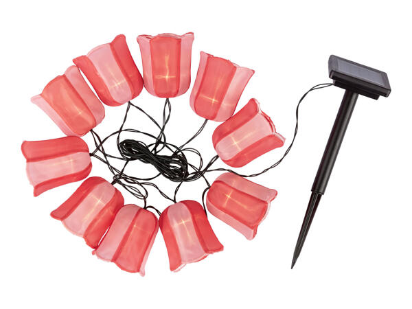 Livarno Home Solar Summer String Lights