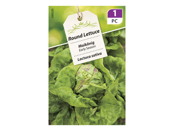 Fine Vegetable Seeds