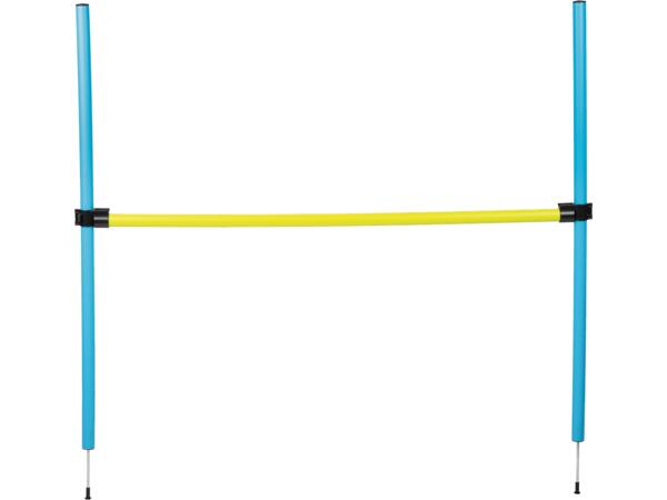 Dog Agility Set