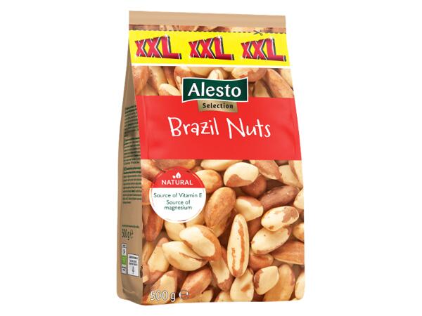 XXL Brazil Nuts