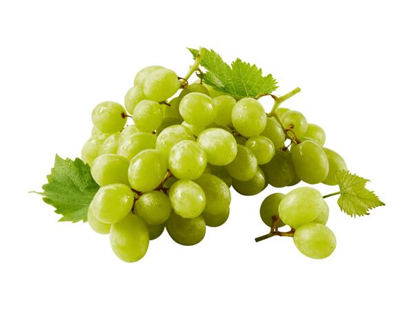 Raisin blanc sans pépins