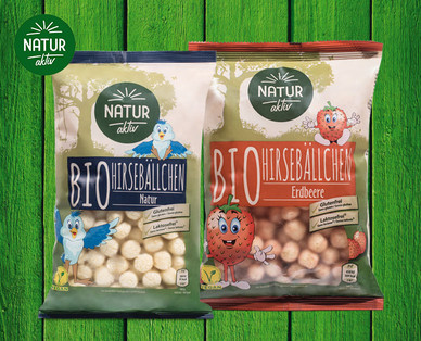 NATUR AKTIV Bio-Hirsebällchen