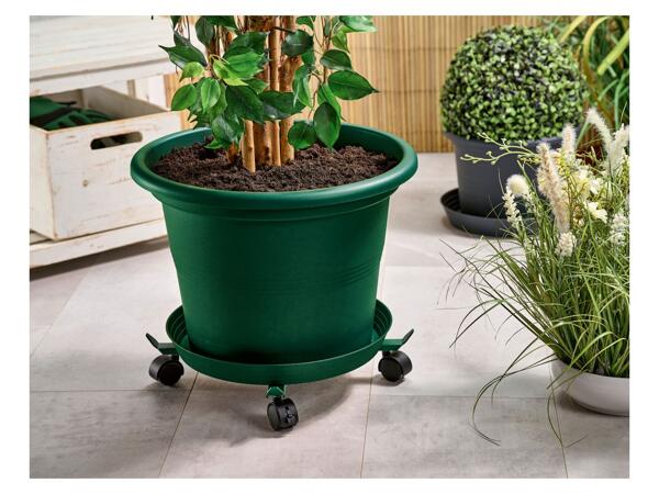 Adjustable plant roller with castors