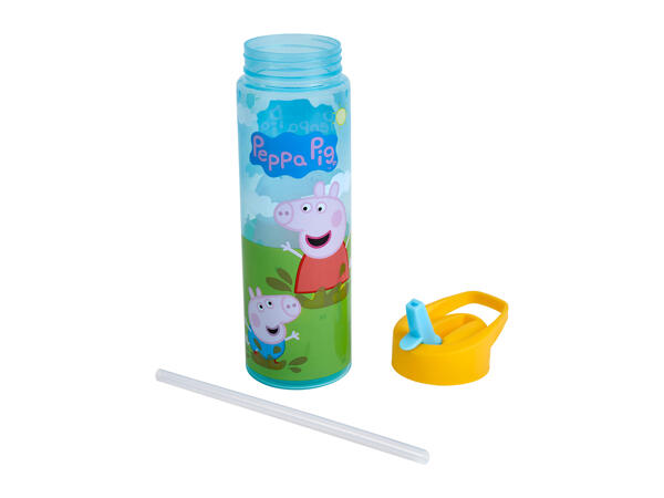 Zak 600ml Character Water Bottle