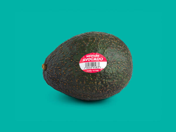 Medium Avocado