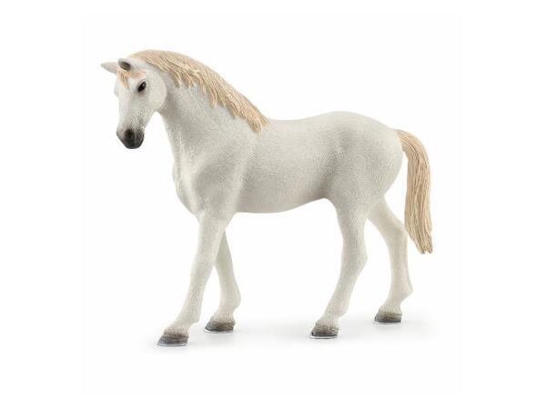 HORSE CLUB Stáj pro koně
