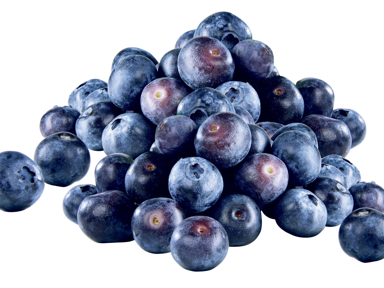 Heidelbeeren