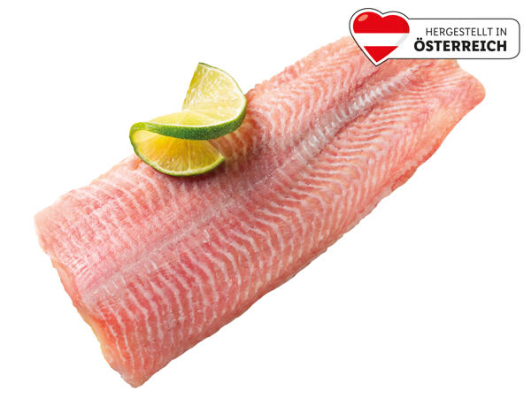 Frisches Welsfilet