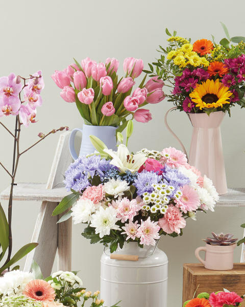 Beautiful Blooms Pretty Tulips