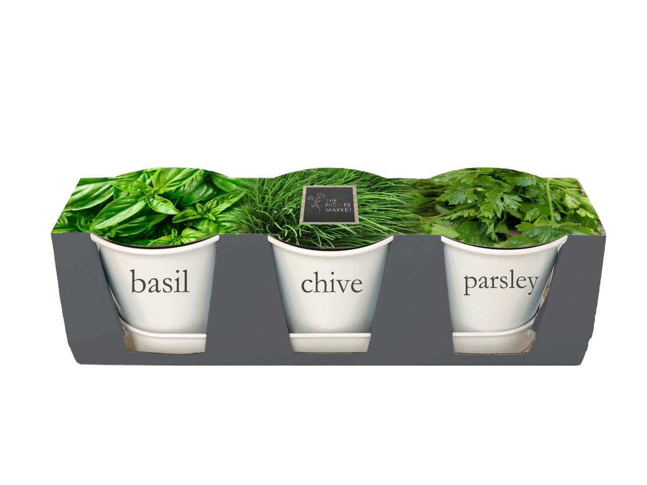 Grow Your Own Herb Pots1