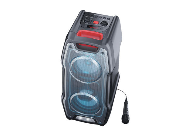Party Speaker