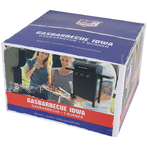 Barbecue au gaz