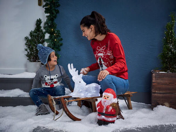 LED Light-Up Christmas Figure