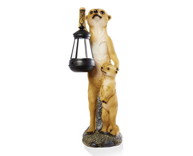 Solar Meerkats