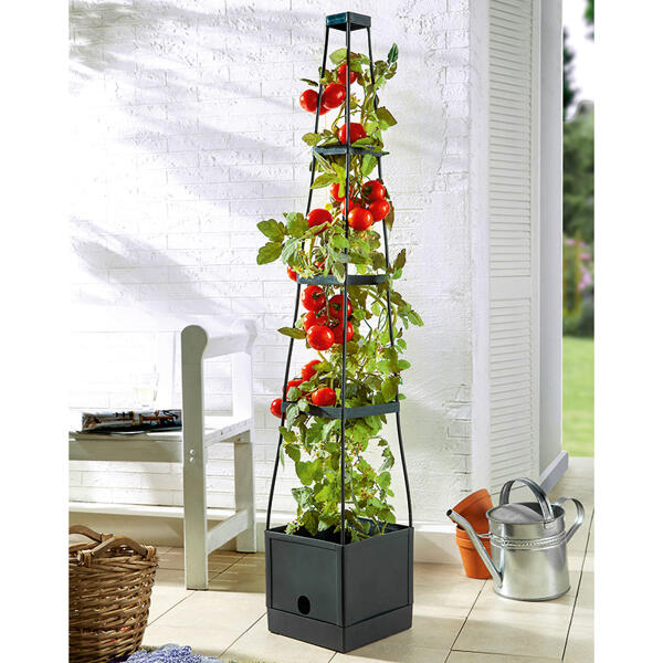 Tomaten-Pflanzturm
