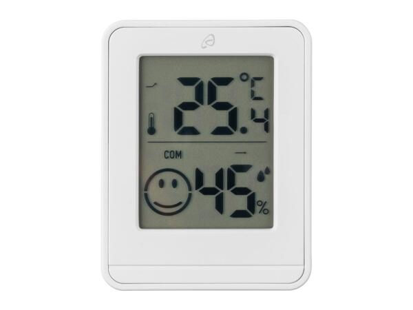 Thermometer and Hygrometer, 3 pieces
