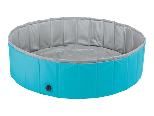 Zoofari Dog Pool