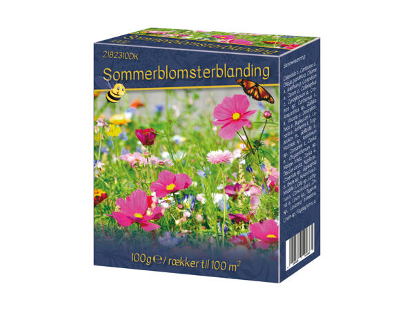 Blomsterblanding frø
