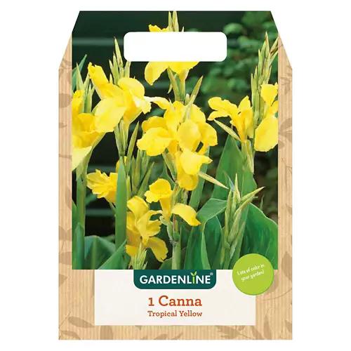 Spring Bulbs Assorted Varieties