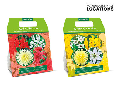Gardenline Mixed Spring Bulbs Assorted Varieties