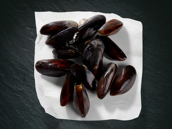 Moules MSC