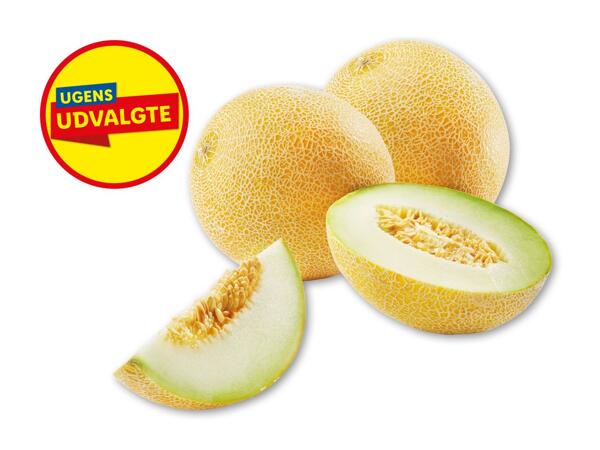 Galiamelon