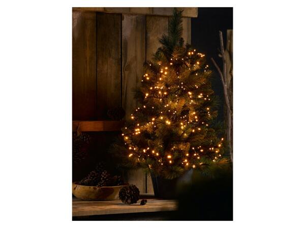 192 LED fairy lights