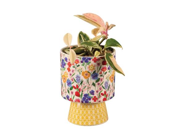 Houseplant in Floral Ceramic