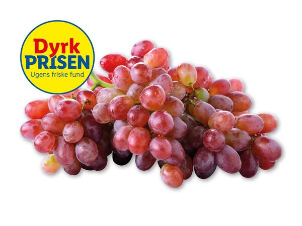 Røde vindruer