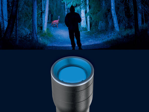 Rechargeable LED Torch