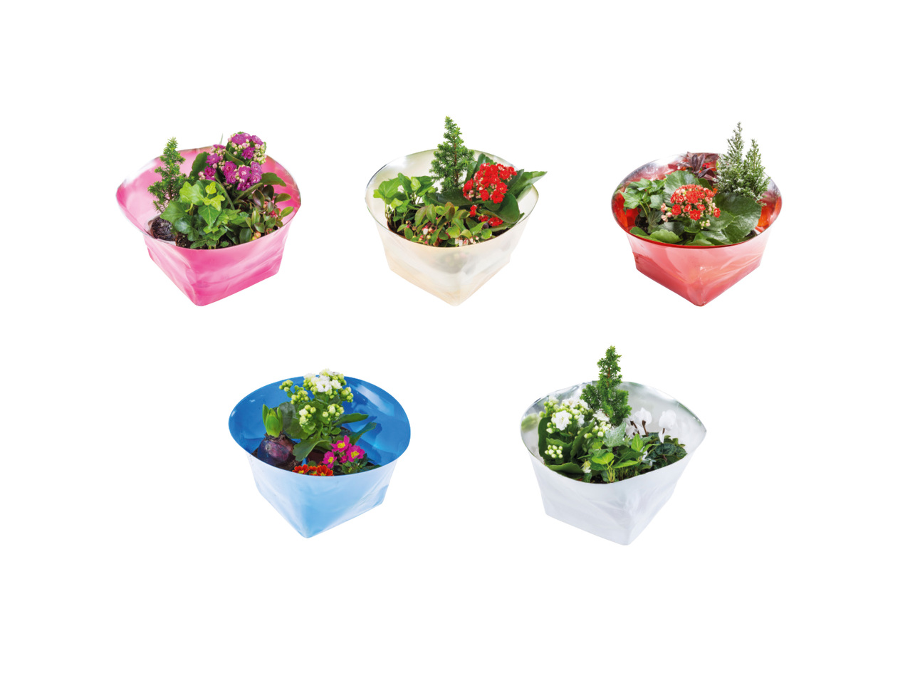 BLOMGRUPP