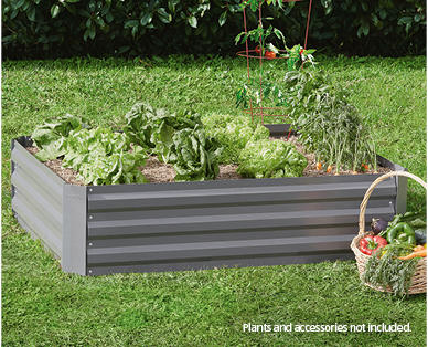 Vegetable Garden Bed