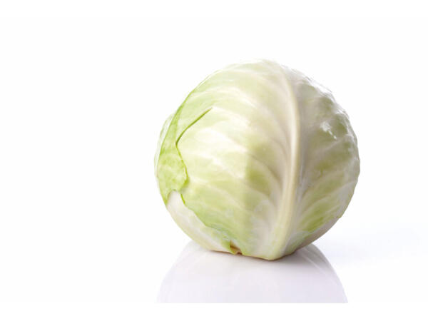 Chou blanc