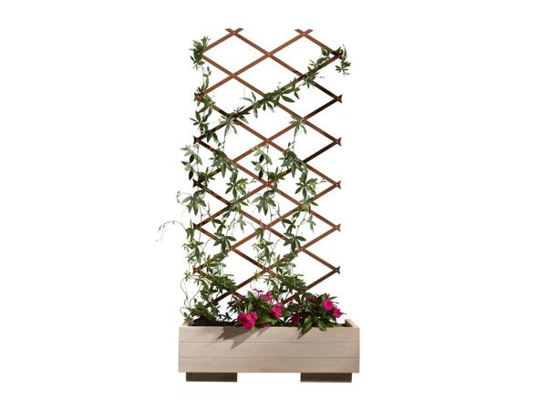 Parkside Expanding Wooden Trellis
