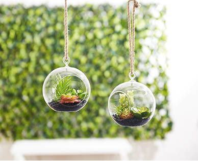 Hanging Terrarium