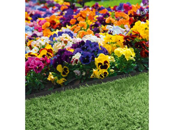 Lawn Edging