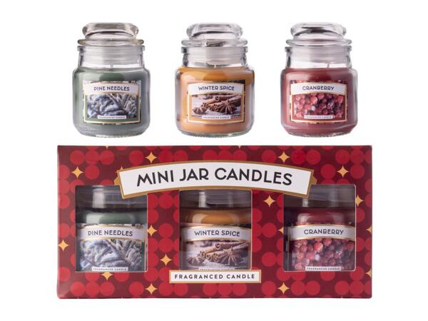 Cranberry / Winter Spice / Pine Needles Mini Jar Candles - Set of 3