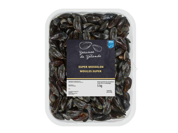 Frische seeländische Muscheln "Super"