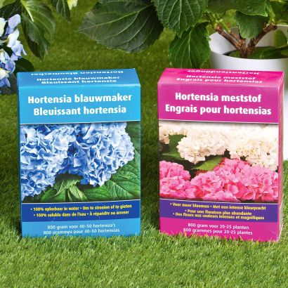 Engrais pour hortensias