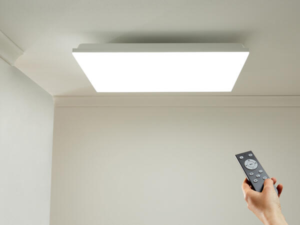LED Ceiling Light