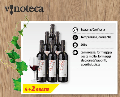 Tinto Joven DO FLOR DE NIEVE