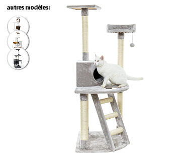 SHAH 
 ARBRE À CHAT