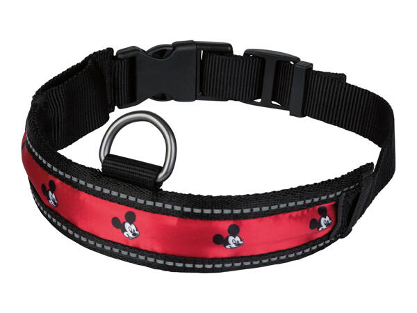 Disney Light-Up Dog Collar